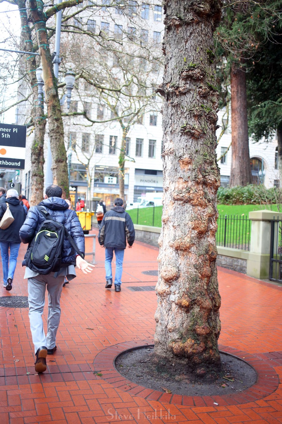 20180122_Morning-Rush-at-Pioneer-Square